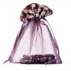 Organza zakje winterprint aubergine maat 6